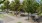 Picnic Area